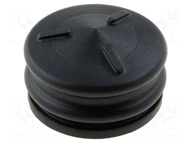 &Ecirc;mbolo, 6ml, FIS-SYR6