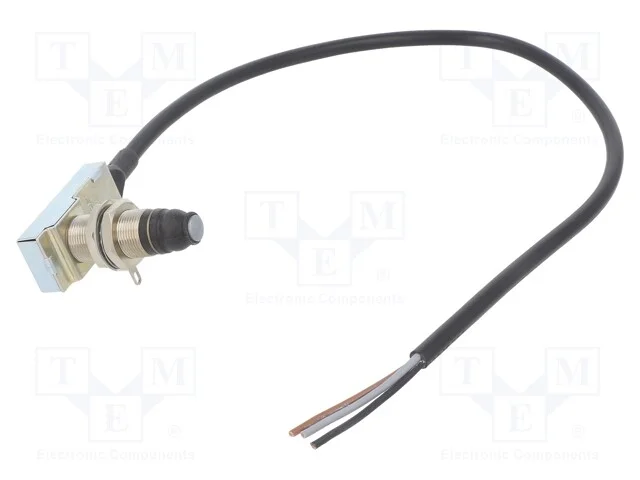 Interruptor Extremo, Haste Roscada M16x1, Spdt, 5a, Max.250vac