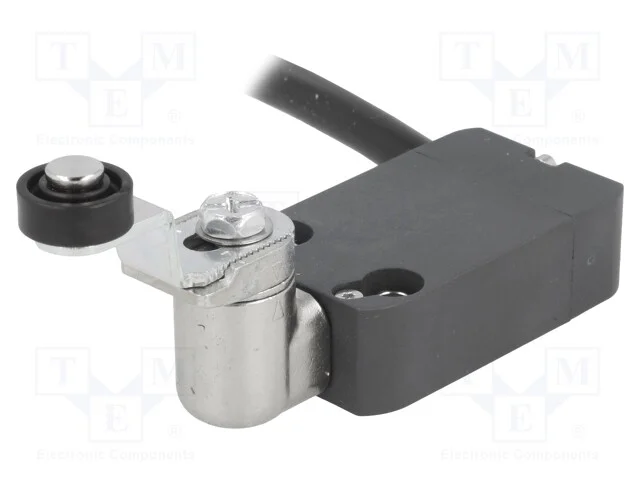 Interruptor Extremo, Alavanca R 33mm, Rolo Plástico 14mm