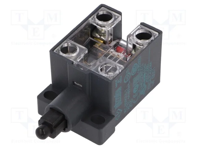 Interruptor Extremo, Mandril de Plástico, No + Nc, 10a, Ip20