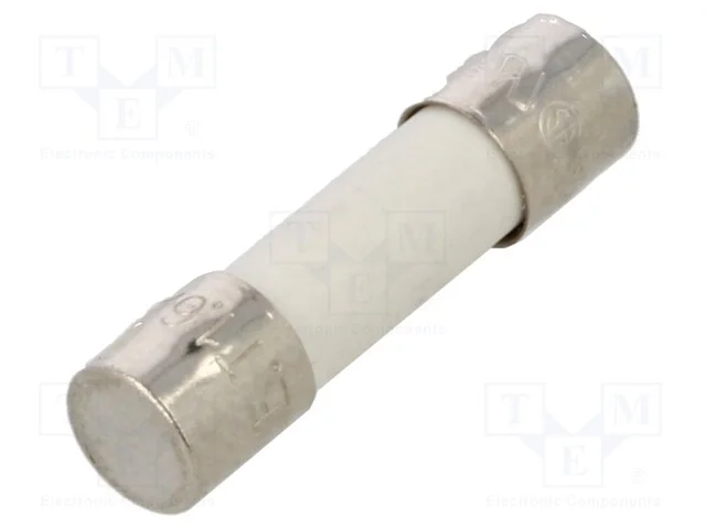 Fusível: Baixa Tensão, Retardado, 1,6a, 250vac, 5x20mm