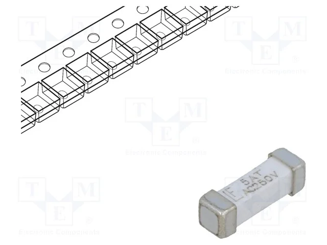 Fusível: baixa tensão, retardado, 5A, 250VAC, 250.