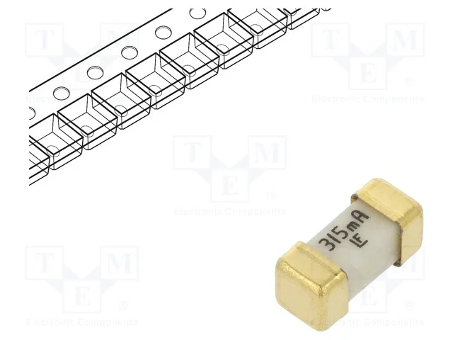 Fusível: baixa tensão, super-imediato, 315mA, 125.