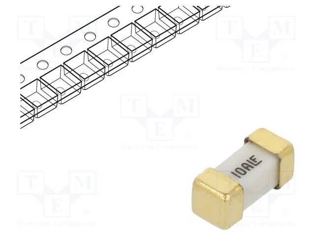 Fusível: baixa tensão, super-imediato, 10A, 125VA.