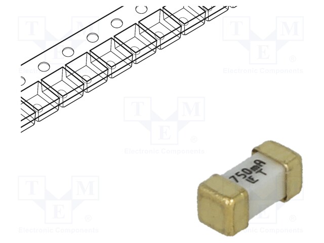 Fusível: baixa tensão, retardado, 750mA, 125VAC, .