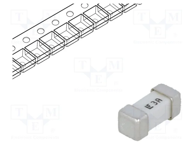 Fusível: baixa tensão, super-imediato, 3A, 125VAC.