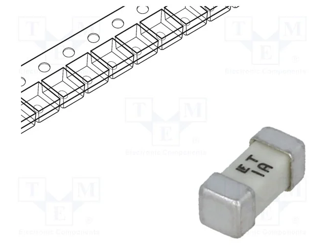 Fusível: baixa tensão, retardado, 1A, 125VAC, 125.