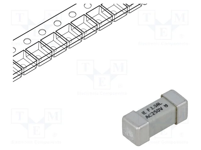 Fusível: baixa tensão, rápido, 2,5A, 250VAC, 250V.