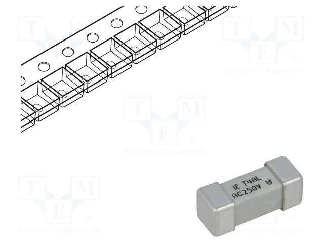Fusível: baixa tensão, retardado, 4A, 250VAC, 250.