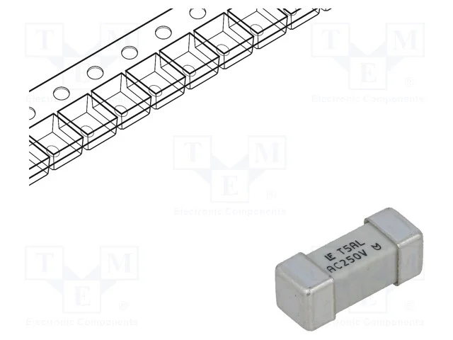 Fusível: baixa tensão, retardado, 5A, 250VAC, 250.