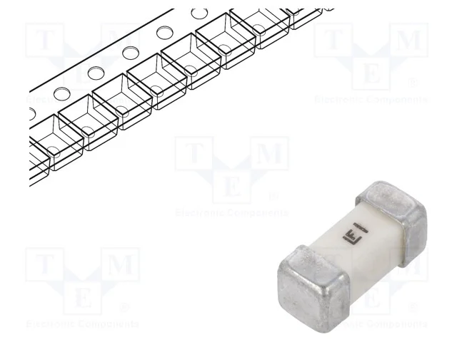 Fusível: baixa tensão, rápido, 1A, 250VAC, 250V, .