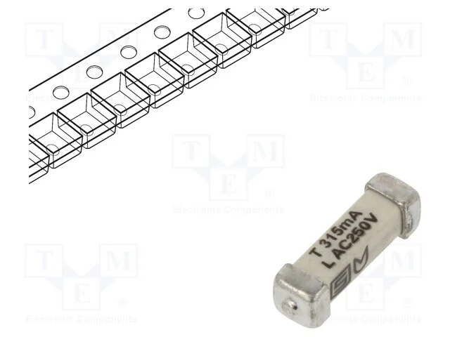 Fusível: baixa tensão, retardado, 315mA, 250VAC, .