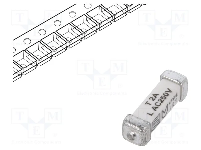 Fusível: baixa tensão, retardado, 2A, 250VAC, 125.