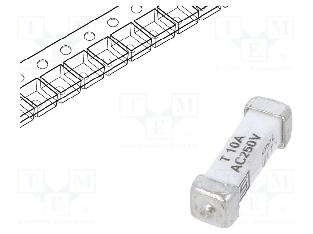 Fusível: baixa tensão, retardado, 10A, 250VAC, 12.