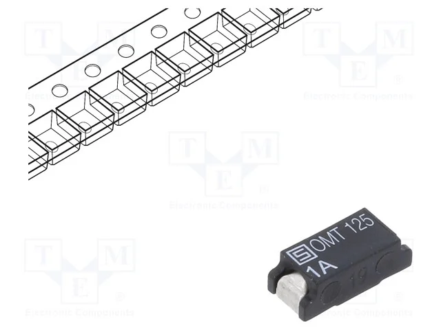 Fusível: baixa tensão, retardado, 1A, 125VAC, 125.