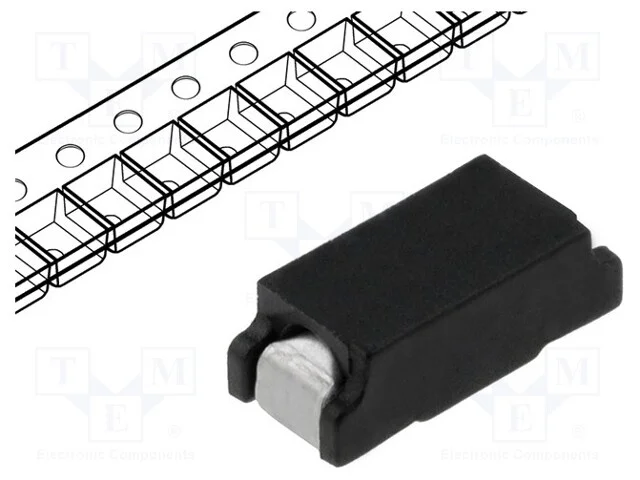 Fusível: baixa tensão, retardado, 3A, 125VAC, 125.