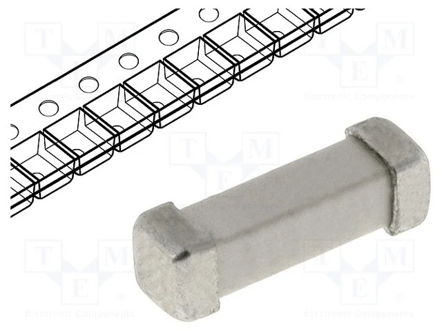 Fusível: baixa tensão, rápido, 1A, 250VAC, 125VDC.