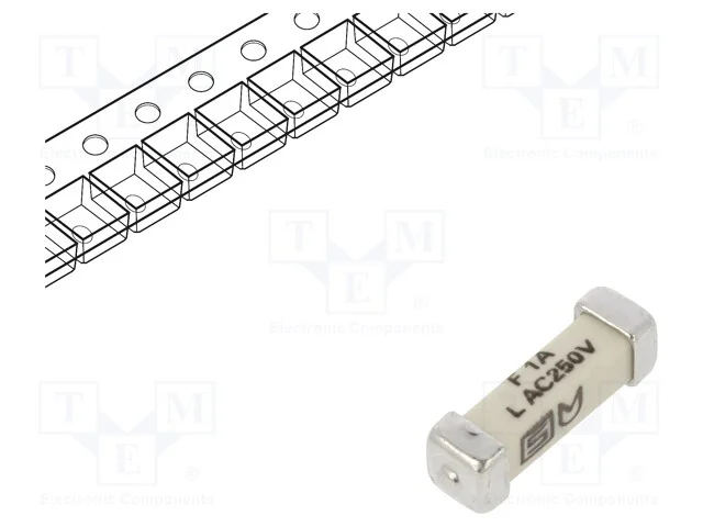 Fusível: baixa tensão, rápido, 1A, 250VAC, 125VDC.