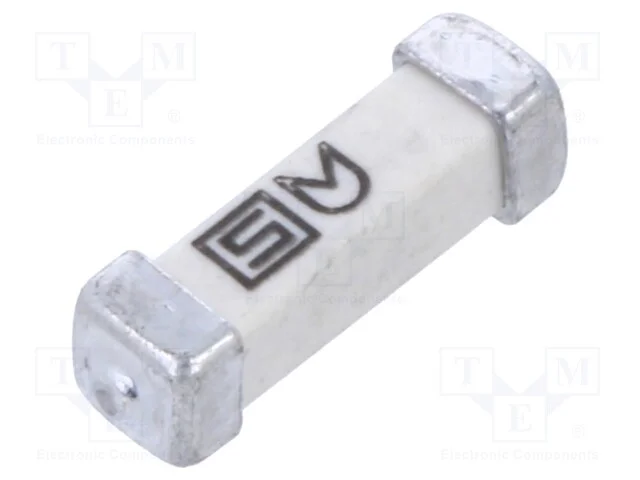 Fusível: baixa tensão, rápido, 1,6A, 250VAC, 125V.