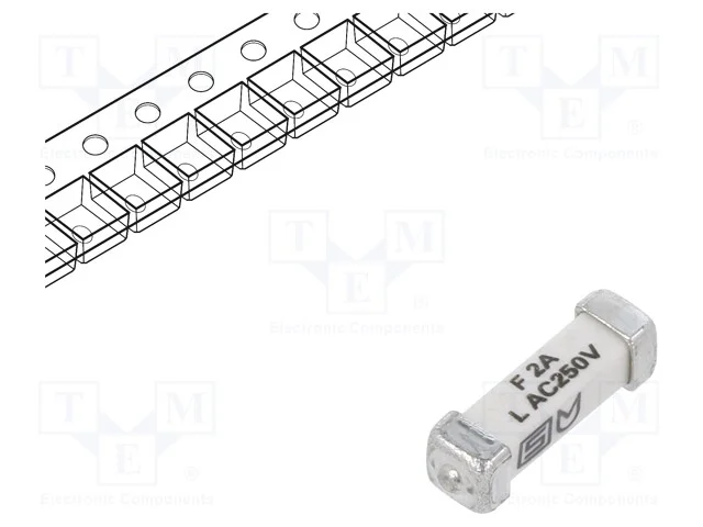 Fusível: baixa tensão, rápido, 2A, 250VAC, 125VDC.