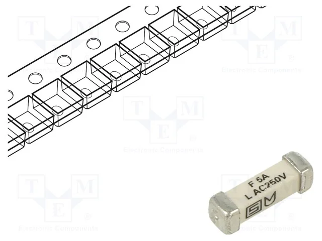 Fusível: baixa tensão, rápido, 5A, 250VAC, 125VDC.