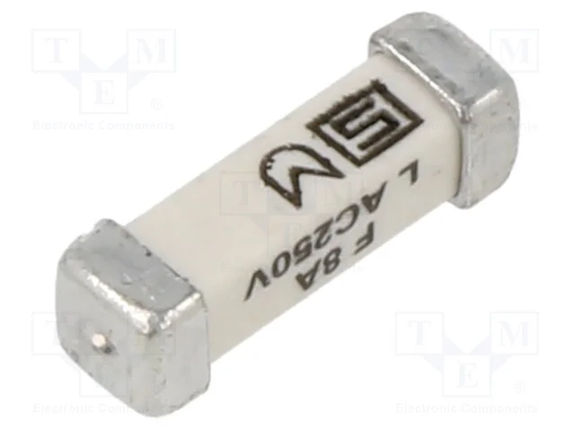 Fusível: baixa tensão, rápido, 8A, 250VAC, 125VDC.