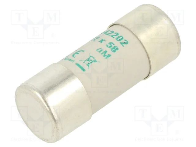 Fusível: Baixa Tensão, Am, 2a, 690vac, 22x58mm