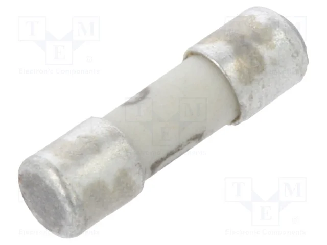 Fusível: baixa tensão, rápido, 3A, 125VAC, 125VDC.
