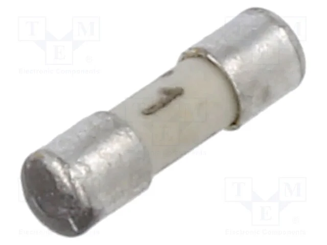 Fusível: baixa tensão, retardado, 1A, 125VAC, 125.