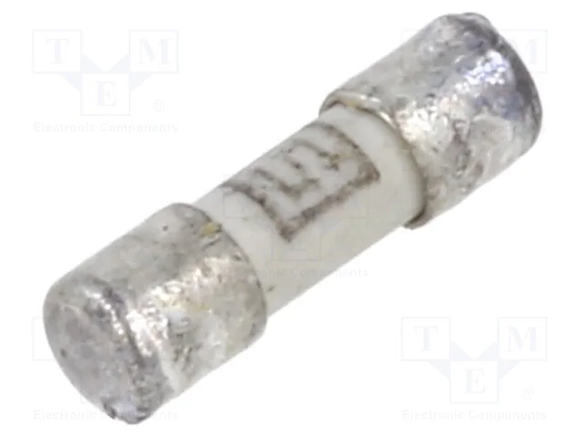 Fusível: baixa tensão, retardado, 2A, 125VAC, 125.