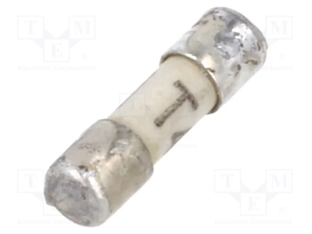 Fusível: baixa tensão, retardado, 4A, 125VAC, 125.