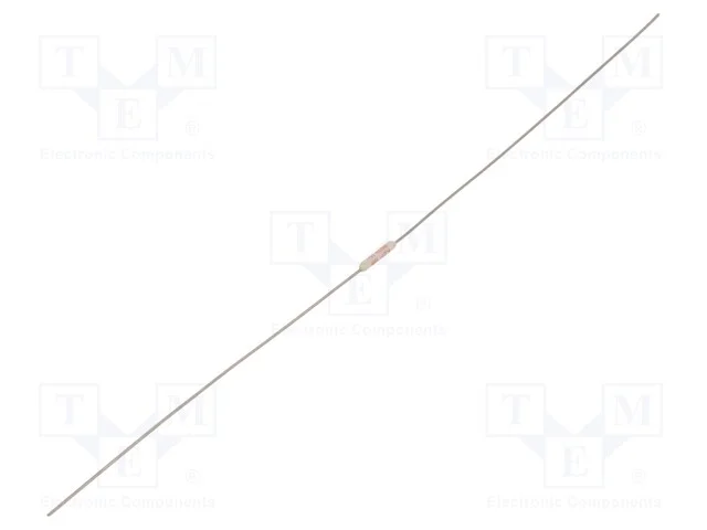 Fusível: Térmico, 1a, 250v, 102c