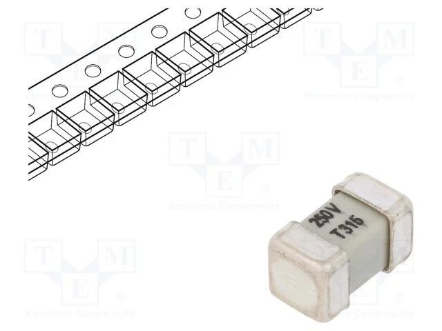Fusível: baixa tensão, retardado, 315mA, 250V, SM.