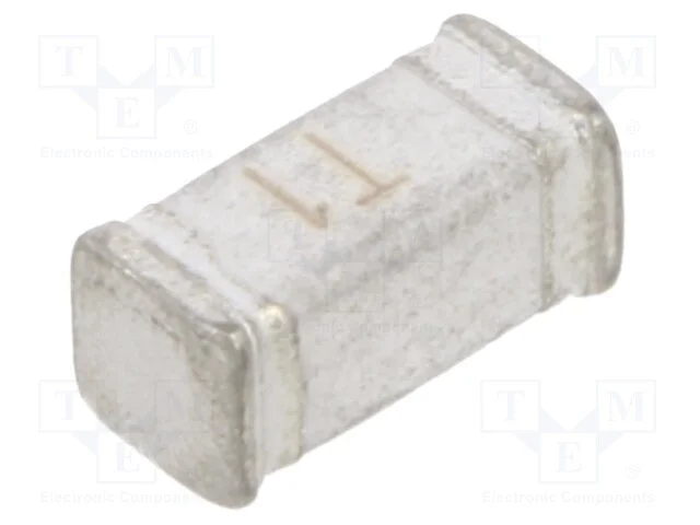 Fusível: baixa tensão, retardado, 1A, 250VAC, 60V.