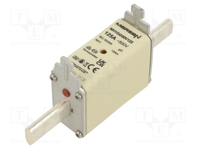 Fusível: Baixa Tensão, Gg, 125a, 500vac, 250vdc, Nh1