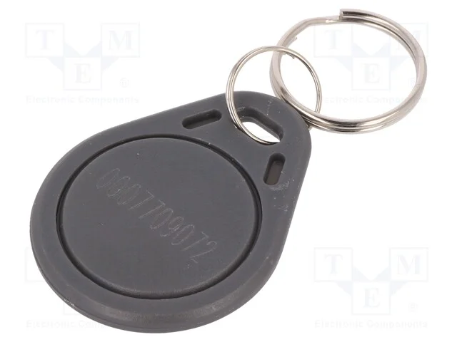 Porta-chaves RFID, pl&aacute;stico, cinzenta, 125kHz, 8B.