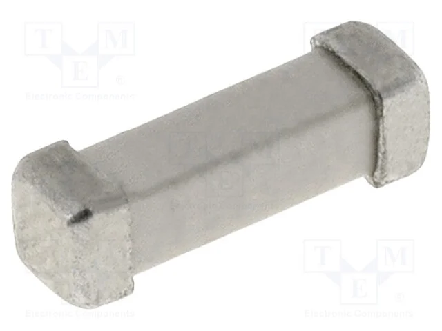 Fusível: baixa tensão, retardado, 80mA, 250VAC, 1.