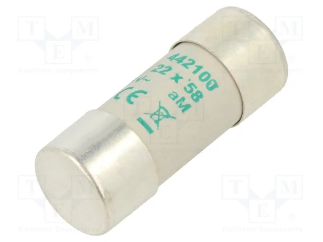 Fusível: Baixa Tensão, Am, 100a, 500vac, 22x58mm