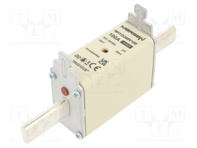 Fusível: Baixa Tensão, Gg, 100a, 690vac, 400vdc, Nh1