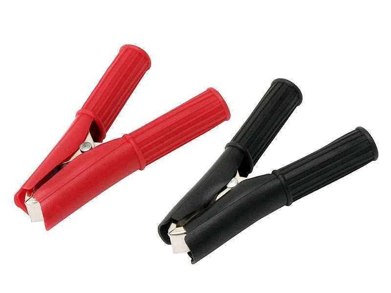 Crocodilo 30a em isolamento