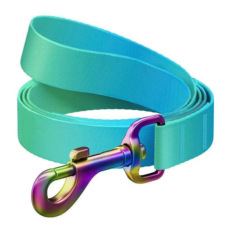 Waudog Gradient Nylon Dog Leash, 20 Mm Wide, 122 Cm Long Blue