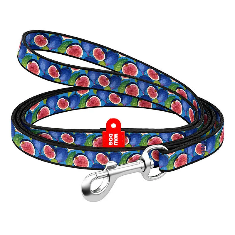 Waudog Nylon Dog Leash 20 Mm Wide, 122 Cm Long ''fig''