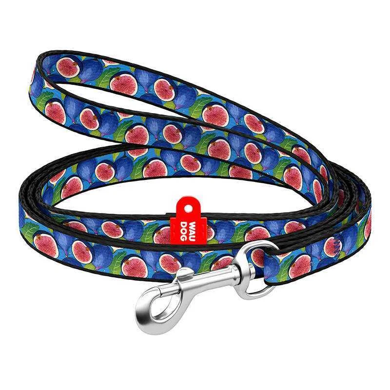 Waudog Nylon Dog Leash 20 Mm Wide, 122 Cm Long ''fig''