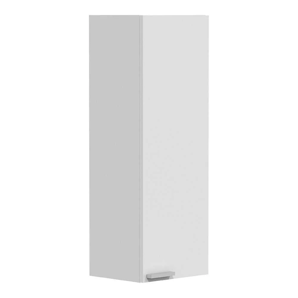 Ba o 30 coluna 1 porta suspensa koncept