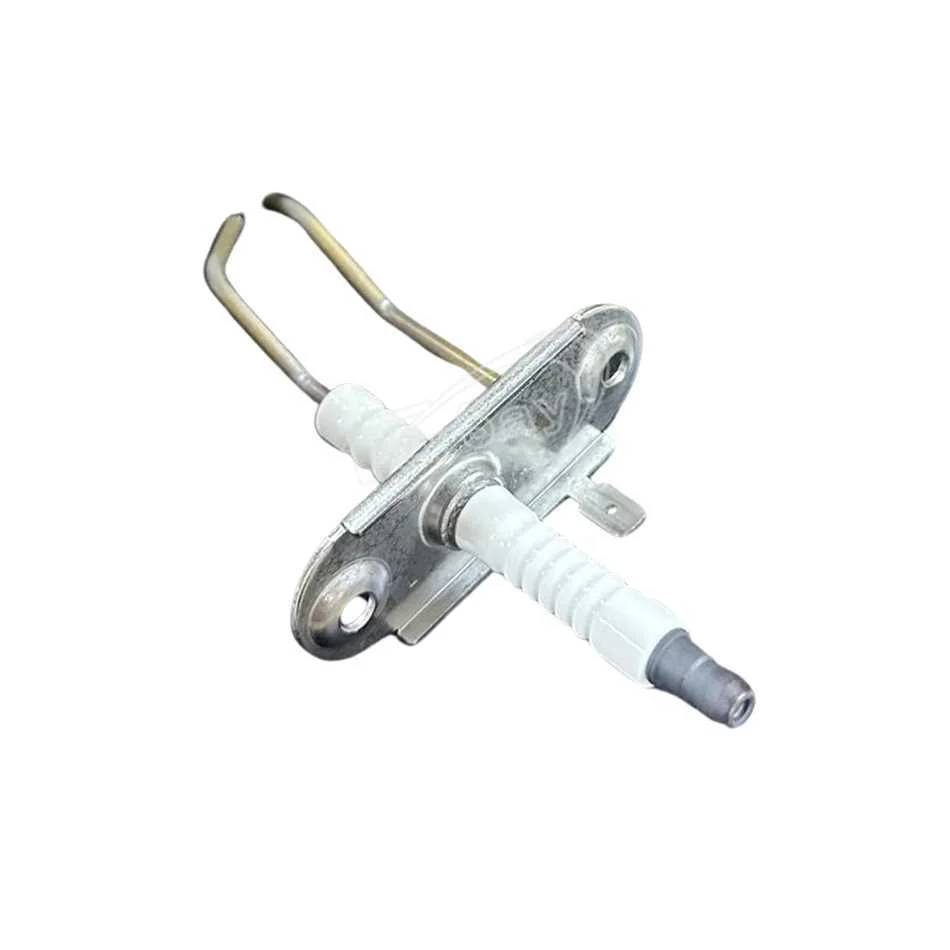 Electrodo de encendido