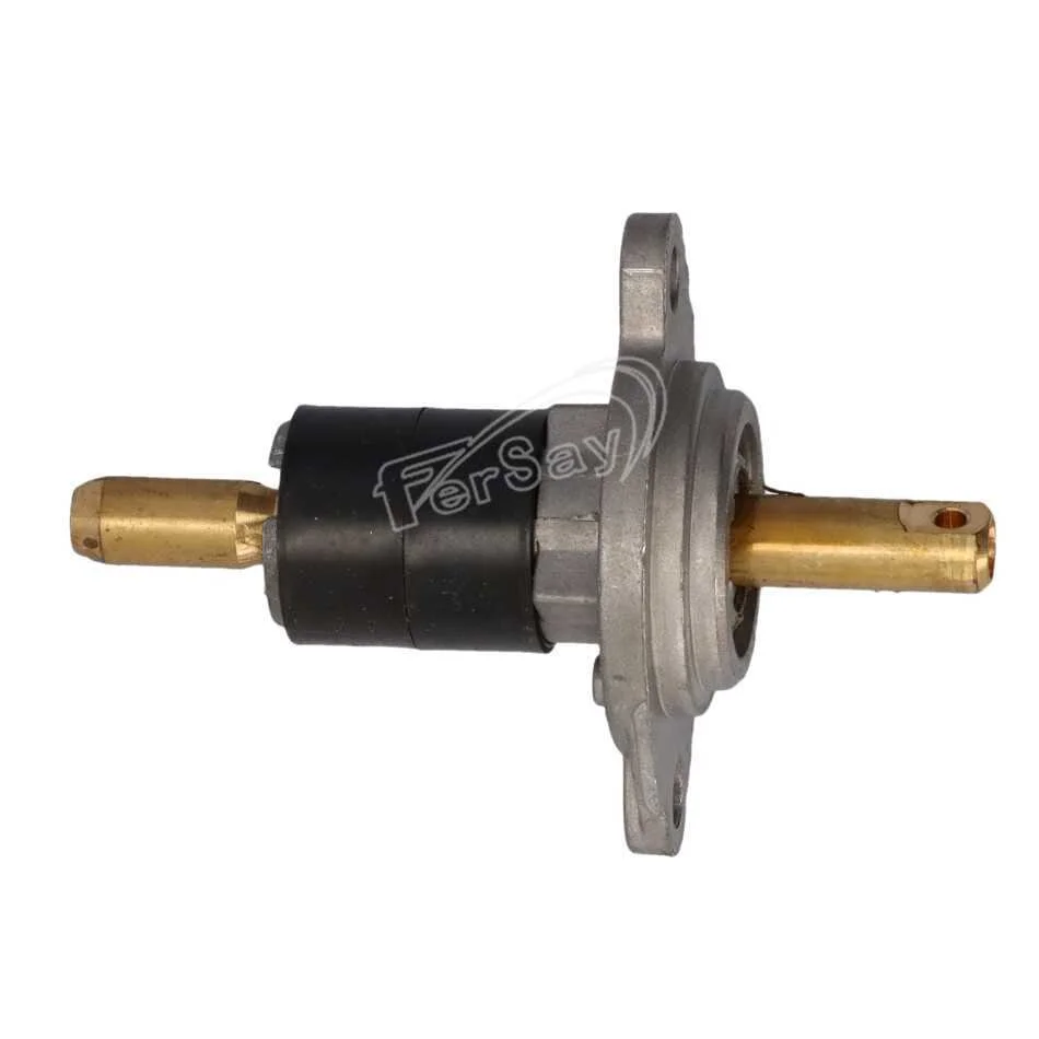 Conjunto Espiga Calentador Fagor