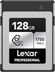 Lexar 256gb Professional Silver Plus Sdxc Uhs-I Cards,  Up To 205mb/S Read 150mb/S Write C10 V30 U3