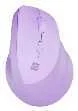 Raton Natec Crake 2 Inalambrico Vertical Bt 5.2 +.