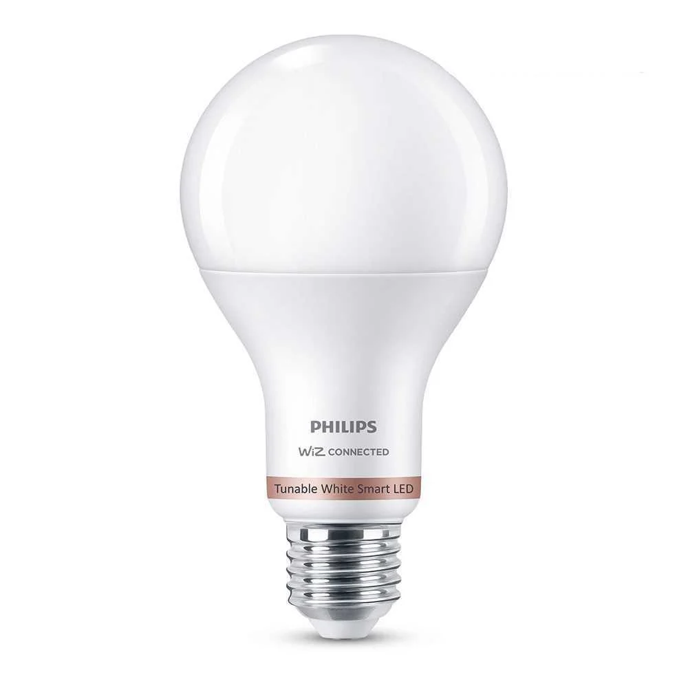 Casquillo: E27<br>tipo: Standard<br>dimable: No<br>equivalencia: 100 W<br>luminosidad: 1521 Lm<br>te