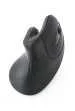 Raton Optico Inalambrico Gembird Ergonomico de 6 .